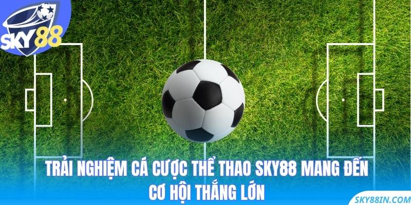 Trải nghiệm cá cược thể thao Sky88 mang đến cơ hội thắng lớn
